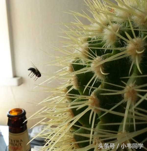 张家口手机台今日新闻,张家口晚间新闻