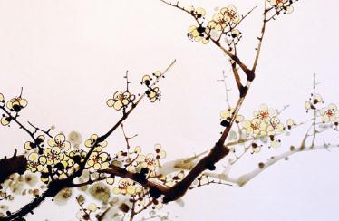 九州诗刊诗词版全集,九州诗刊诗歌版第三十期