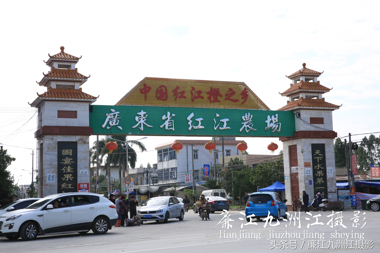 廉江摘橙子旅游,廉江摘橙子一日游攻略