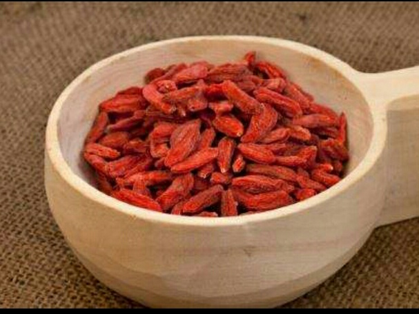 农村地头带刺的植物,农村这种最不起眼的植物