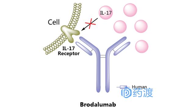 治疗银屑病生物制剂的优势,生物制剂治银屑病中的应用论文