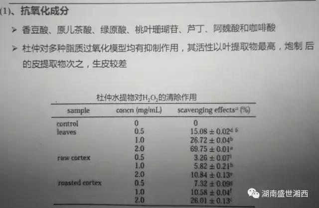 现代药理学表明杜仲具有三降「血压、血糖、血脂」、四抗、五护！