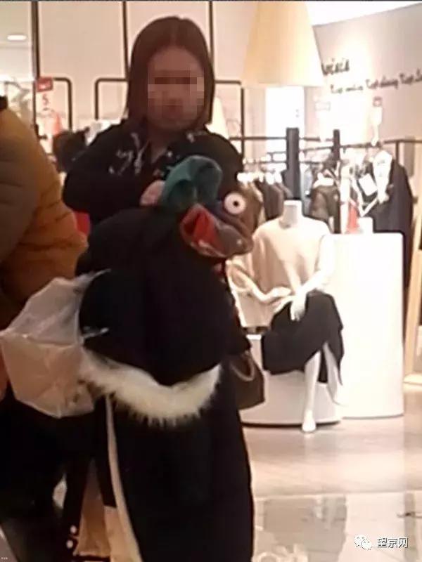 简直了！在望京这样遛狗，你还有理了？