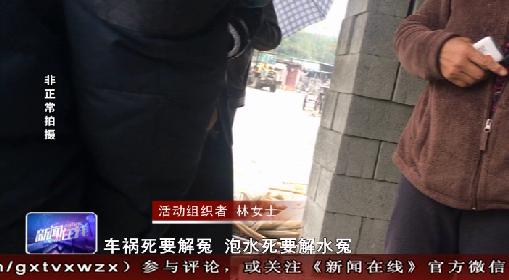 不要998只要9.8英文,不要998只要99英文