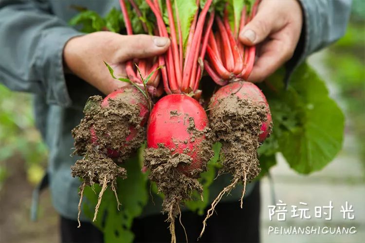 杭州带着孩子去哪玩比较合适,杭州带小孩子去玩的地方推荐