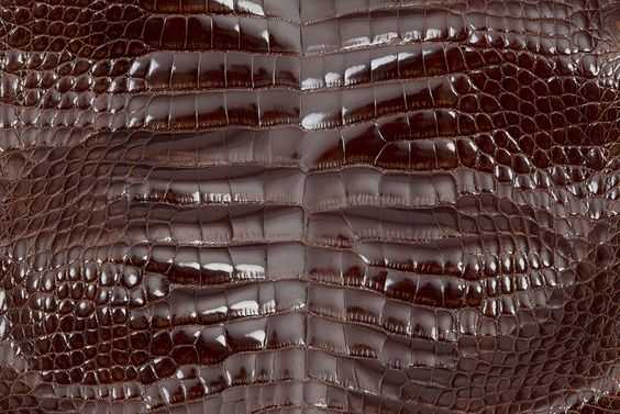 干货的品质鉴别,奢侈品包包皮质怎么看