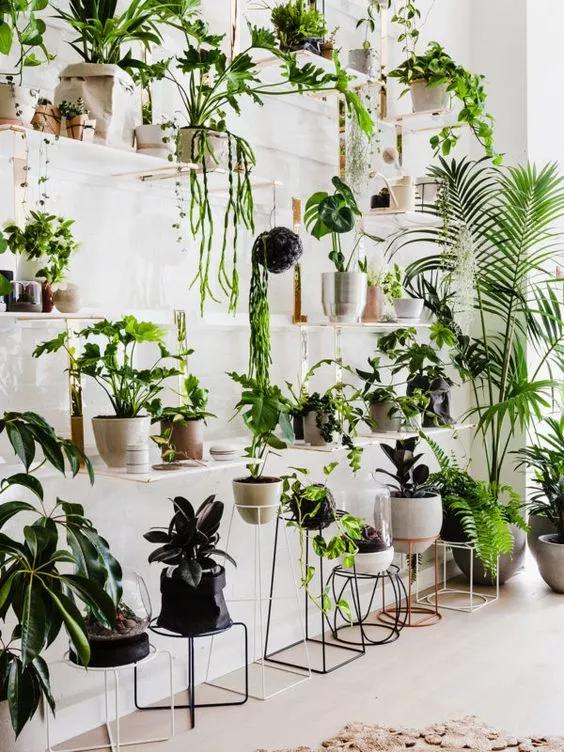 开花店需要准备什么,开一个花店需要准备哪些