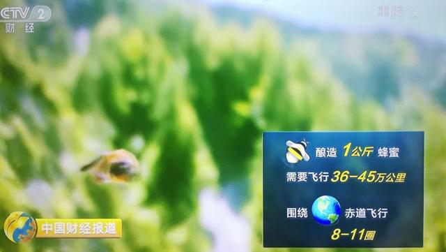 超市卖的蜂蜜为什么是真的,超市买的蜂蜜为什么不结晶