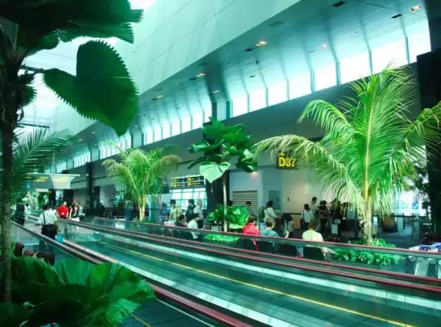 骞村簳鎵撴姌涔板濂楁渶鍒掔畻,骞村簳澶ч檷浠风殑涓滆タ