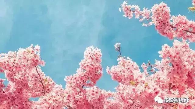 手机摄影运镜技巧教程大全,小米手机摄影技巧教学