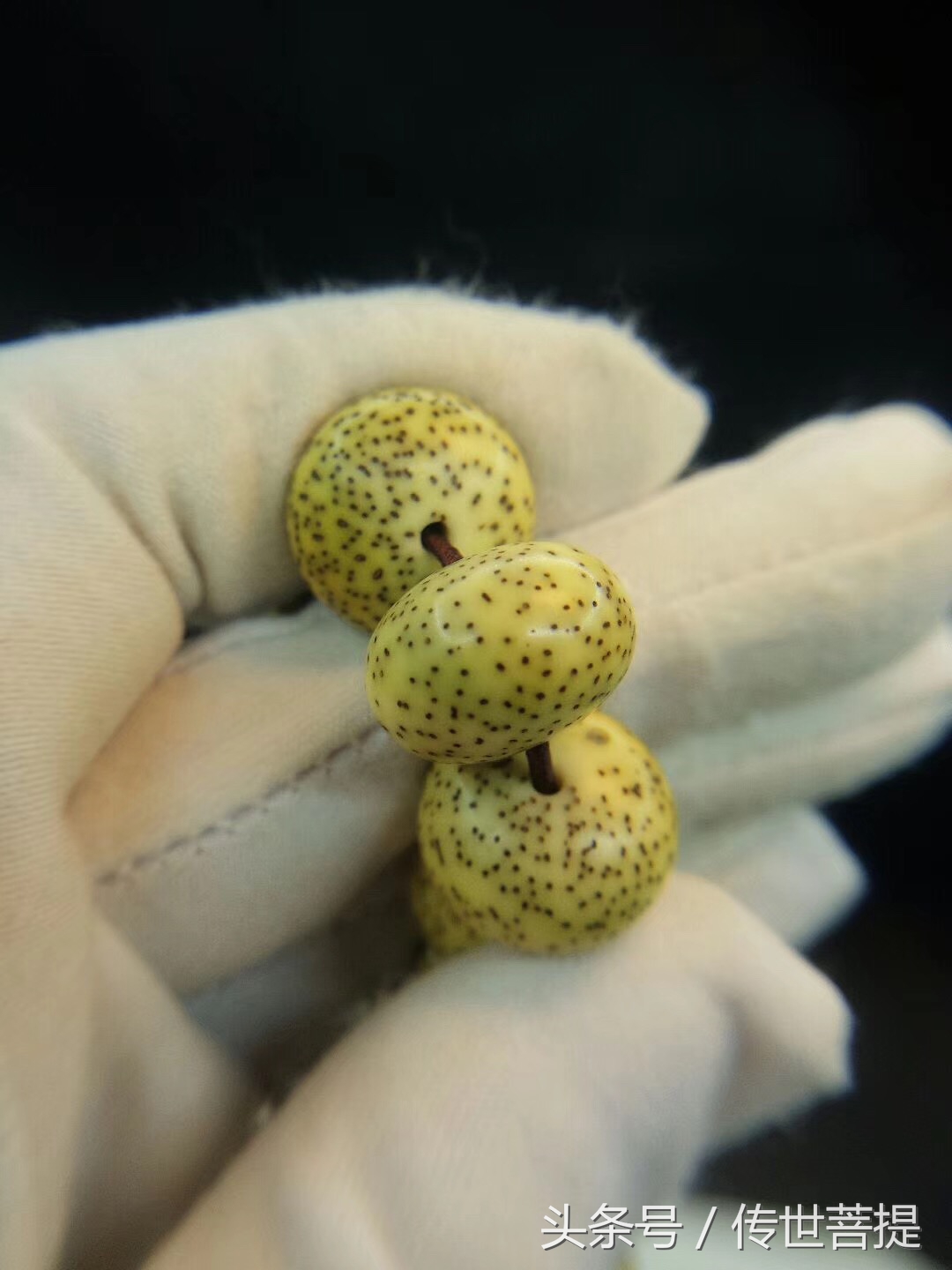 极品16*11黄金苹果圆手串，黑星老料小细星表面无连星完美无瑕