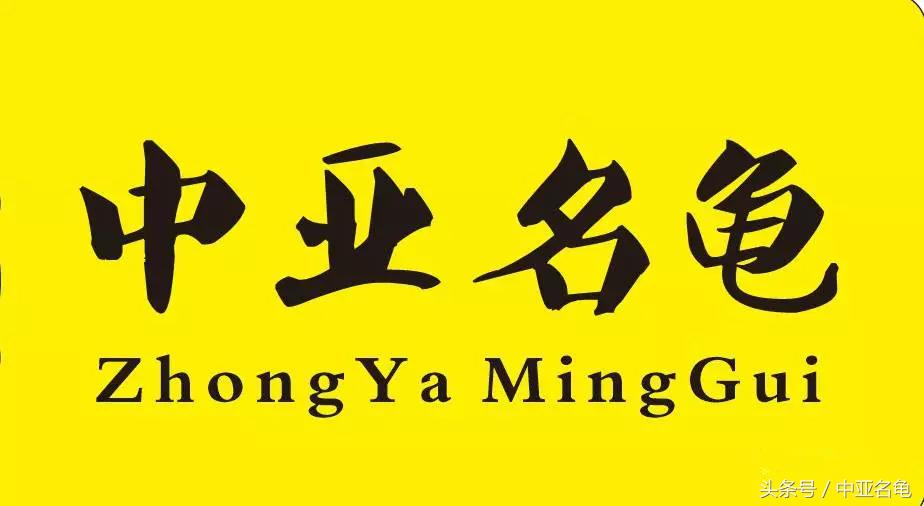 乌龟肠胃炎的预兆,庆大霉素治疗乌龟肠胃炎