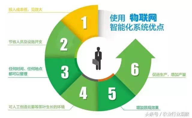 创业小项目农业互联网,农业零成本创业新点子