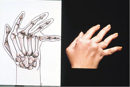 神舟发展史,美国神丹