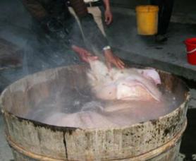 东北杀猪菜视频完整版老东北美食,东北的杀猪菜外地人吃的惯吗