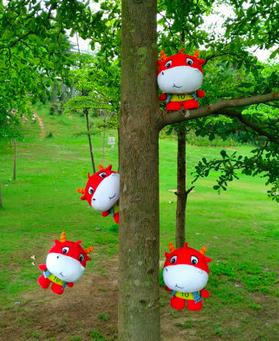 努比亚拍照特别功能,努比亚拍照机