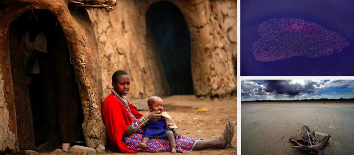 努比亚拍照特别功能,努比亚拍照机