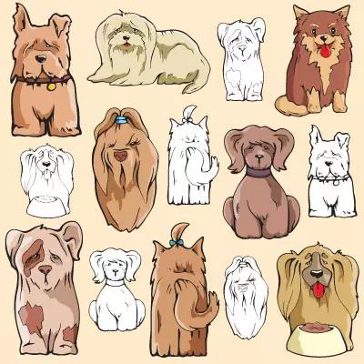 因为害怕失去你所以失态了,因为害怕失去所以不敢养狗