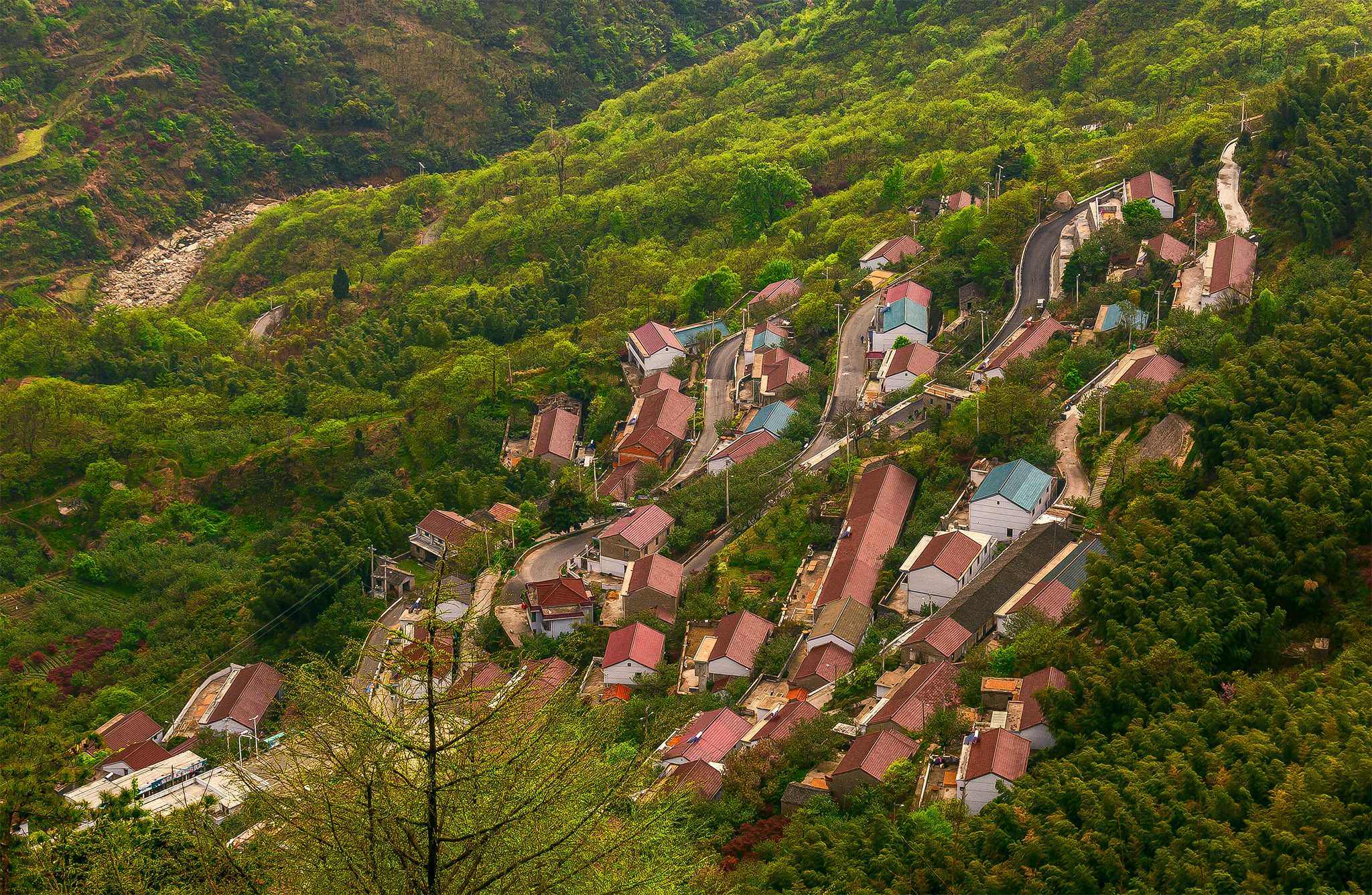 四明山地质公园和四明山森林公园,观四明山云海仙境有感