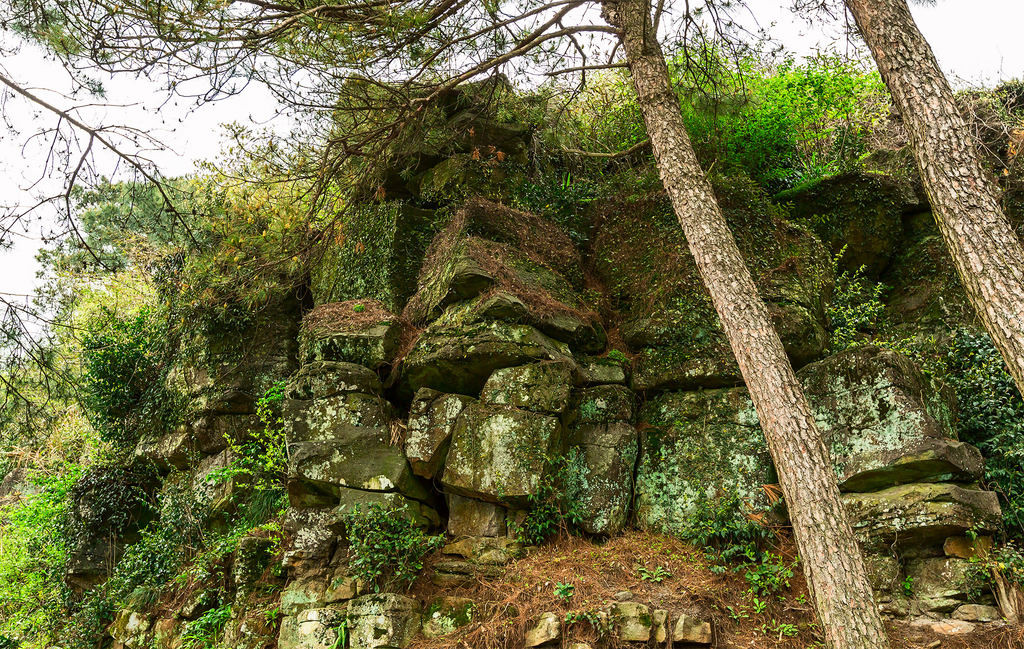 四明山地质公园和四明山森林公园,观四明山云海仙境有感