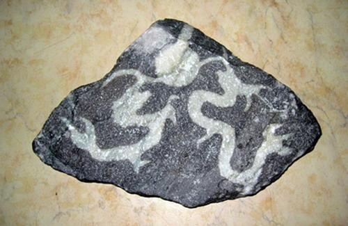 这才是真正的奇石,真正的奇石都是什么样子的