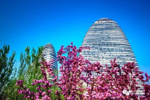 如果有人说“望京什么破地儿?”就把这条微信甩给他