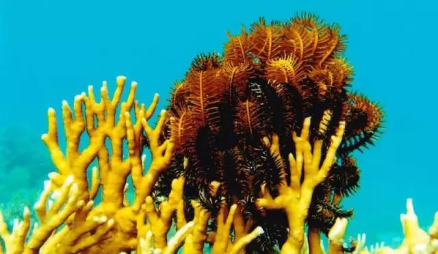 越南岘港旅游值得去吗,越南岘港是落地签还是免签