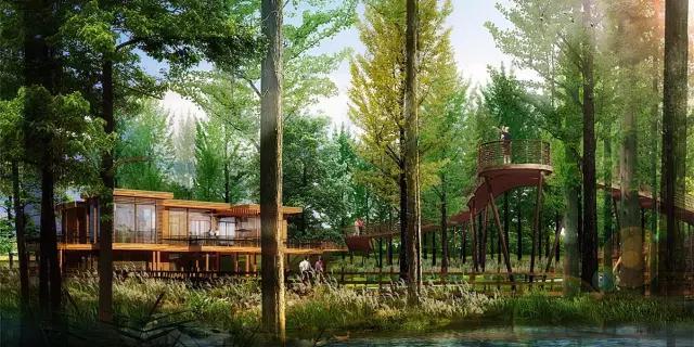 上海免费旅游景点,上海残疾人免费景点一览表