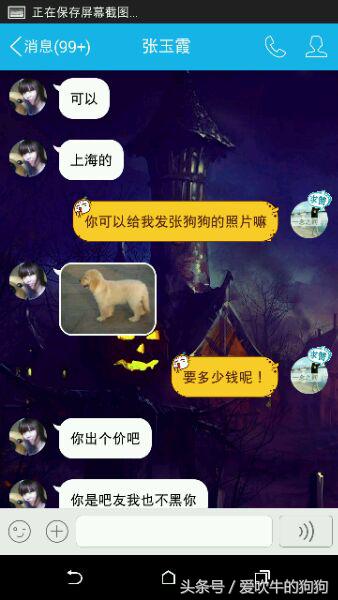 买狗被人骗了,买狗如何避免被骗