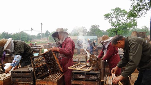 超市卖的蜂蜜为什么是真的,超市买的蜂蜜为什么不结晶