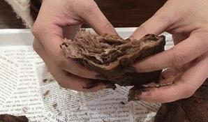 脏脏包网红食物测评,网红脏脏包里面没有爆浆