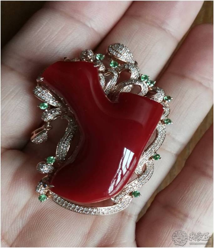 什么样的珊瑚是最好的,最好看的十种珊瑚