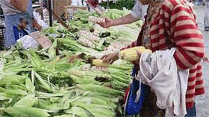 合肥现在哪里买菜最便宜,合肥哪个超市买菜便宜