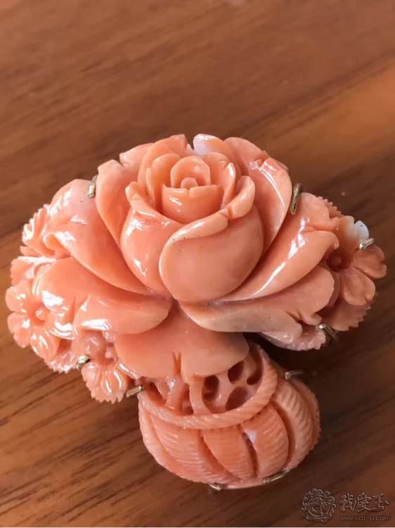 什么样的珊瑚是最好的,最好看的十种珊瑚