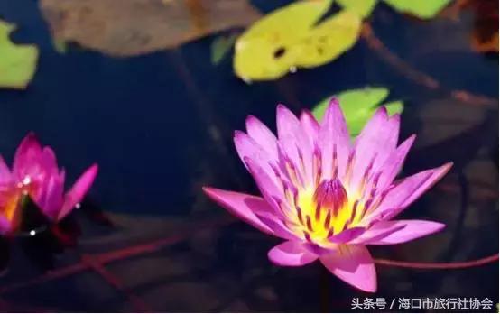 澄迈老城海边风景,海南澄迈风景好的地方