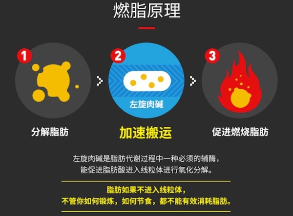 左旋肉碱算科技吗,左旋肉碱100000和60000哪个效果好