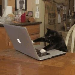 香港海洋公园门票能用微信支付吗 (香港海洋公园当天买票可以吗)