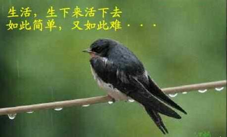 去北上广深打拼,北上广深的选择