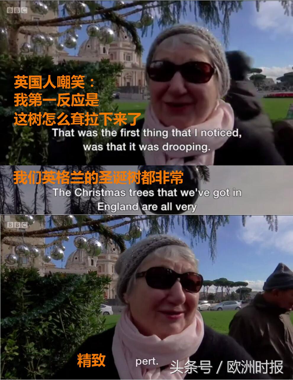 意大利最好的圣诞树,罗马圣诞树