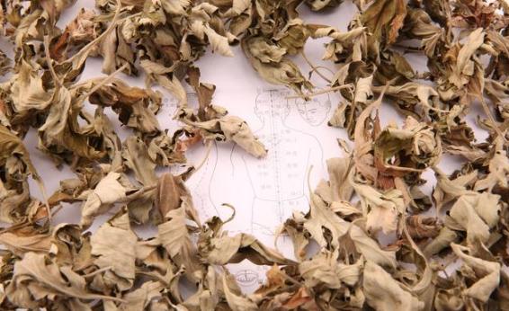 艾叶泡脚对身体有什么作用,艾叶泡脚对身体有什么好处