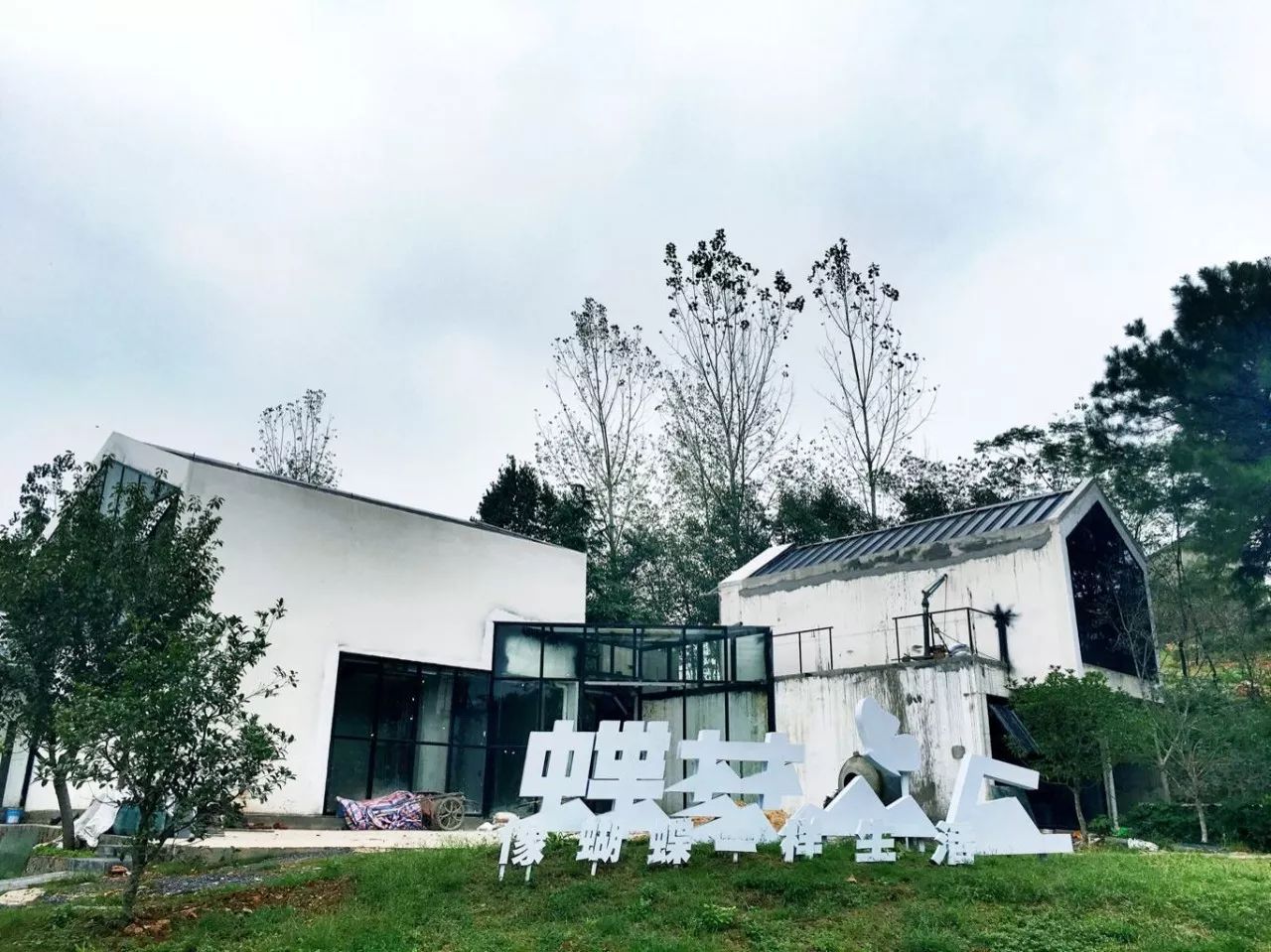 亲子推荐│蝶梦山丘—让蝶入梦、与蝶共舞