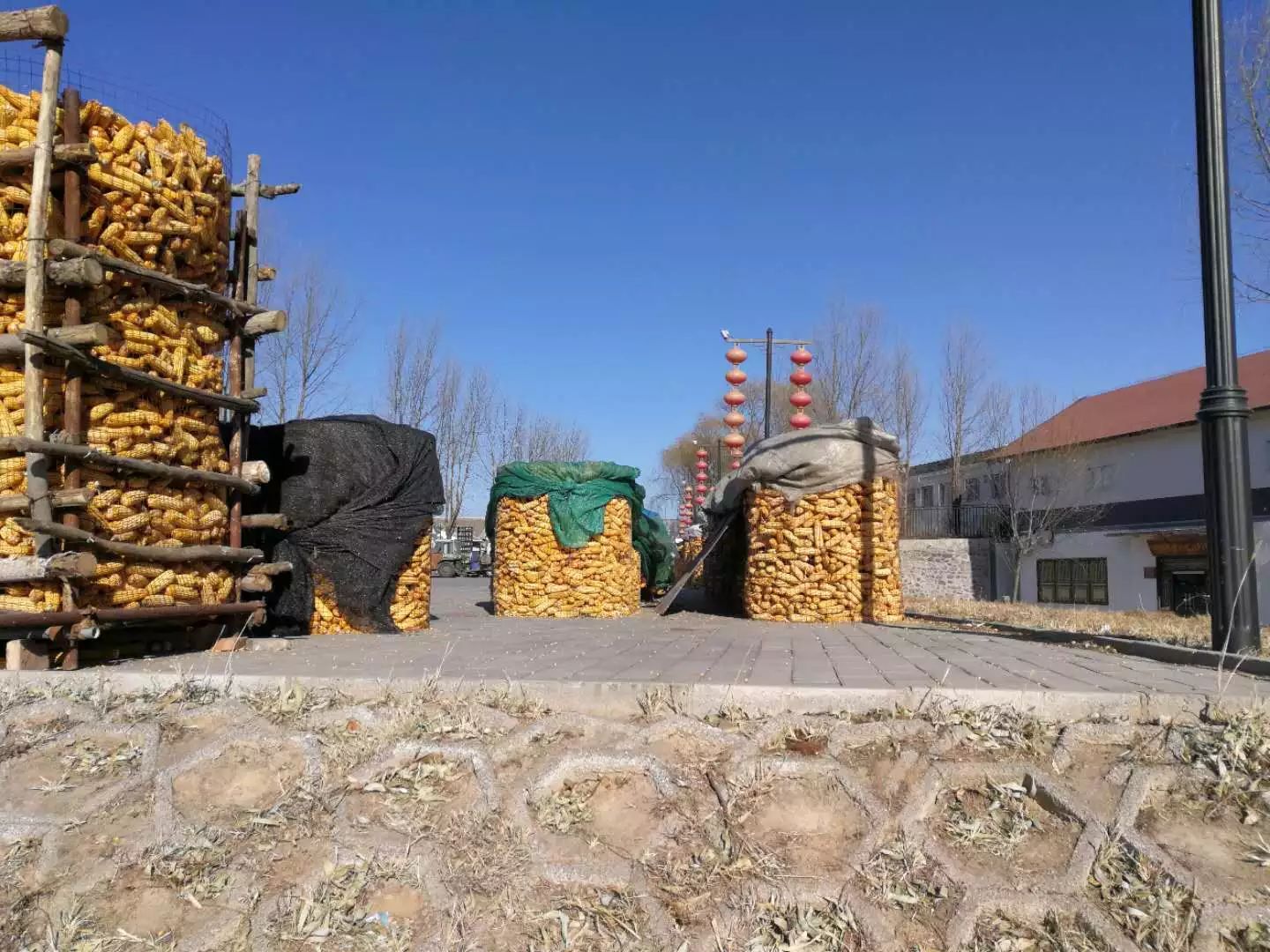 柳沟豆腐宴几个人最划算,柳沟豆腐宴几号最好吃