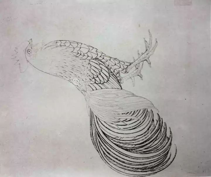 白描花卉技法基础入门,白描花卉简单入门