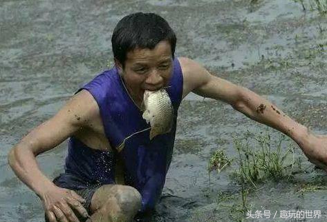 心跳加速睡不着了,心跳加速睡不着呕吐