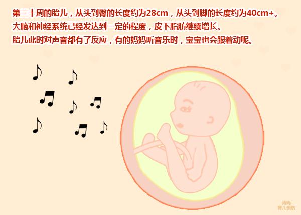 孕八个月胎动减少变弱,怀孕八个月胎动变少了怎么回事