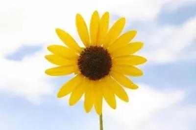 抑郁症为什么一到冬天就严重了,抑郁症冬天怎样熬过