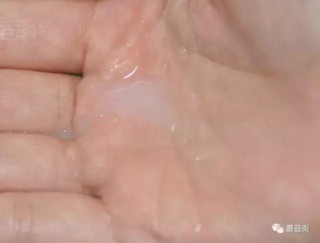 口碑最好的10种高级护肤水,雅诗兰黛和海蓝之谜哪个护肤水好