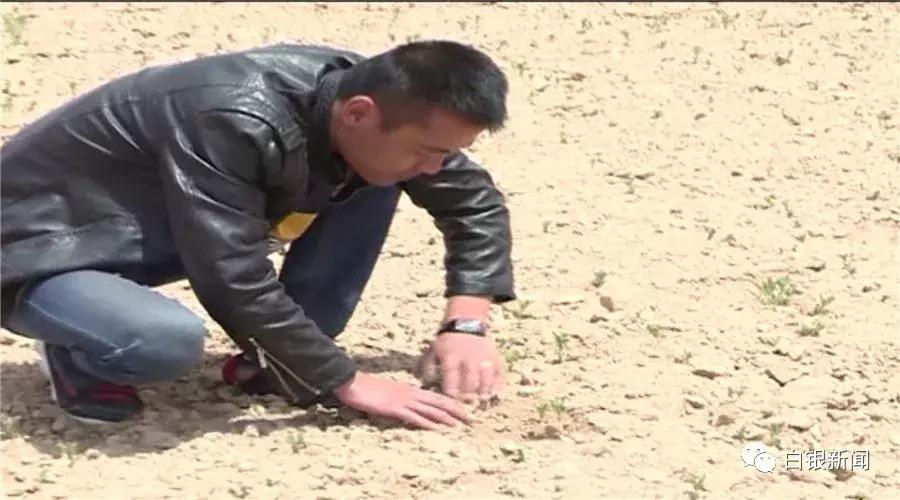 探访80后创业者平川区黄峤镇峤山村村民贠建诚