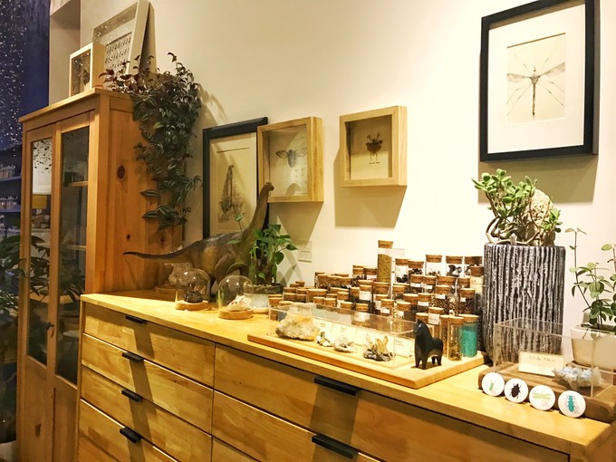 游记成都市内2日行,成都三日吃住行详细攻略