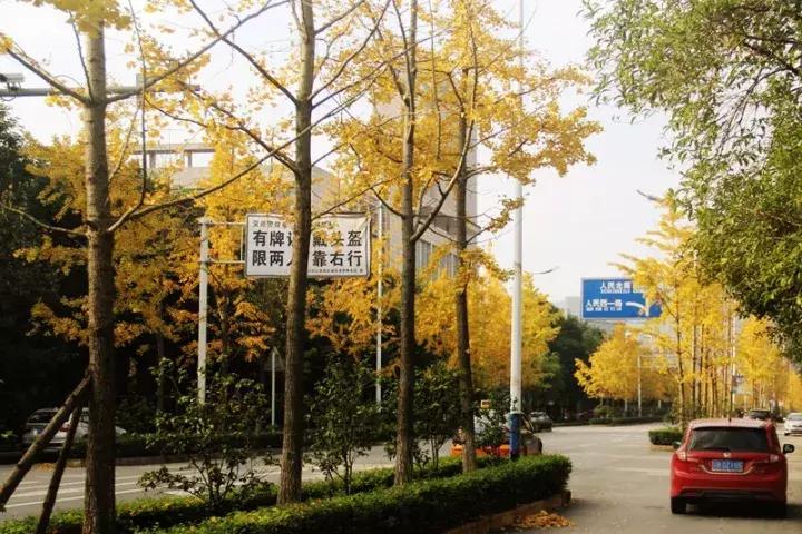 真相了！外地人和永川人谈恋爱会是这样的结局！